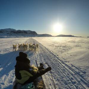 1 Hour Dog Sledding