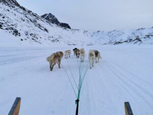 Dogsled Multiday Tour